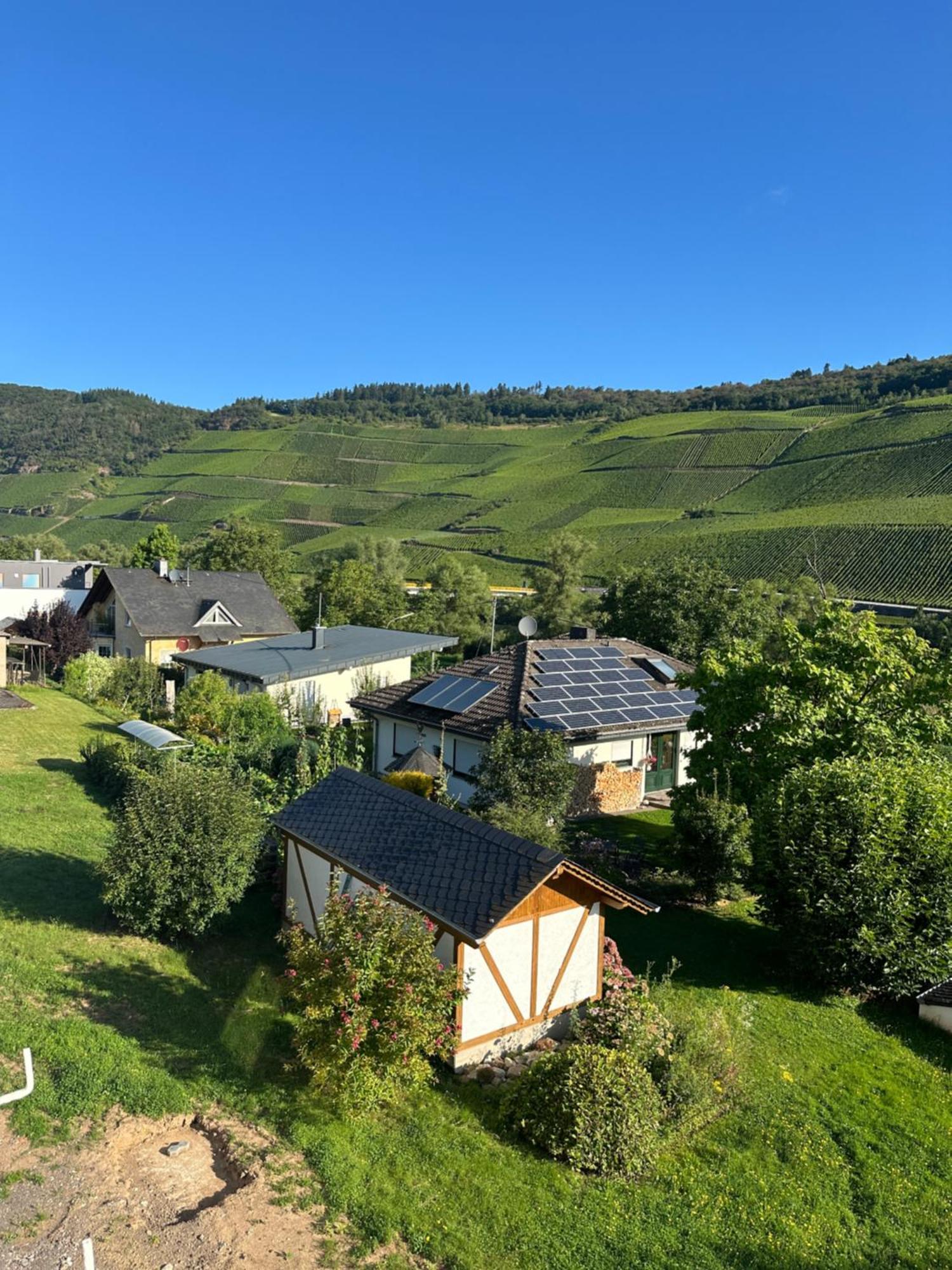 Moselappartements By Weingut Marco Adamy Lösnich Esterno foto