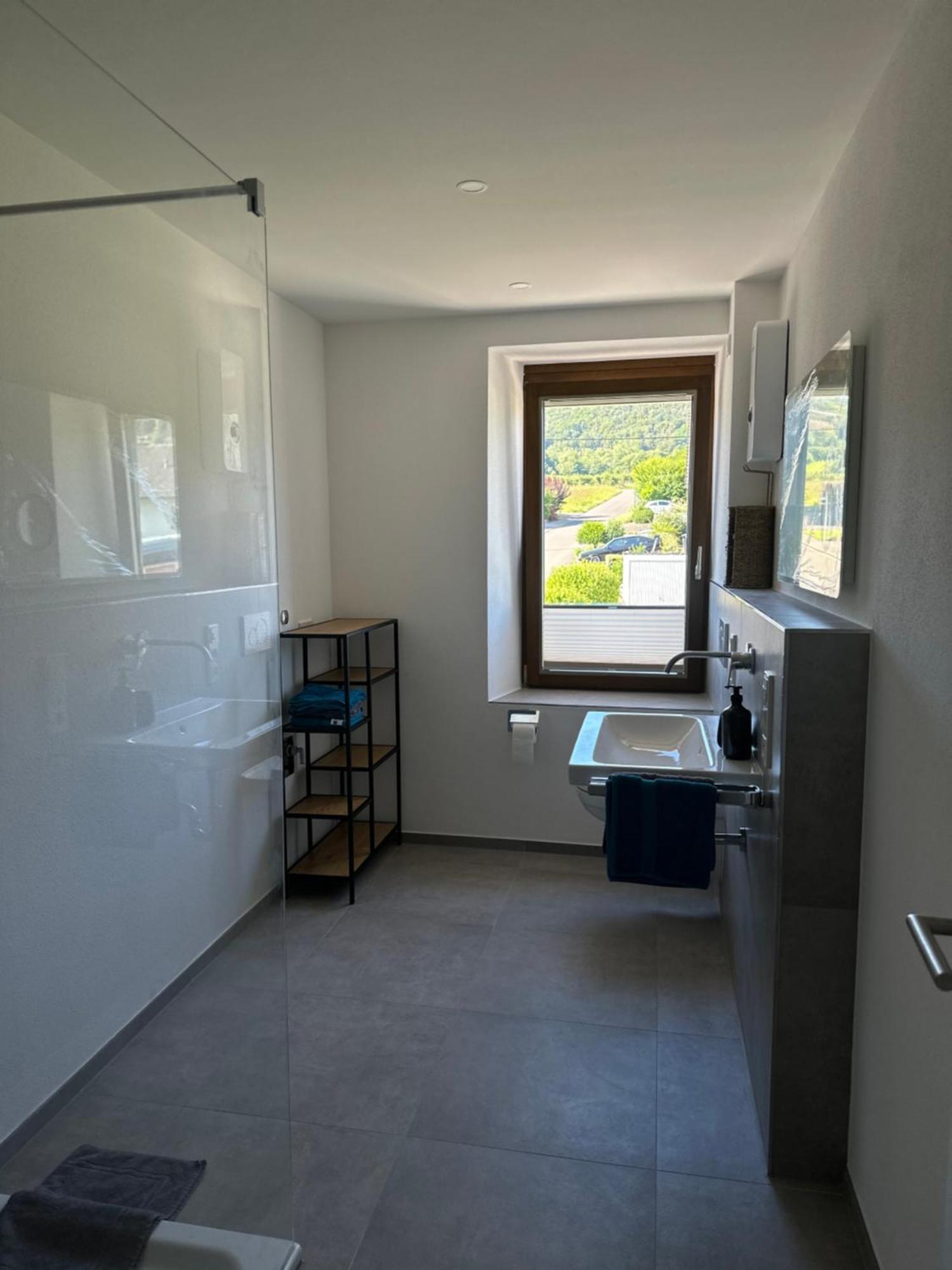 Moselappartements By Weingut Marco Adamy Lösnich Esterno foto