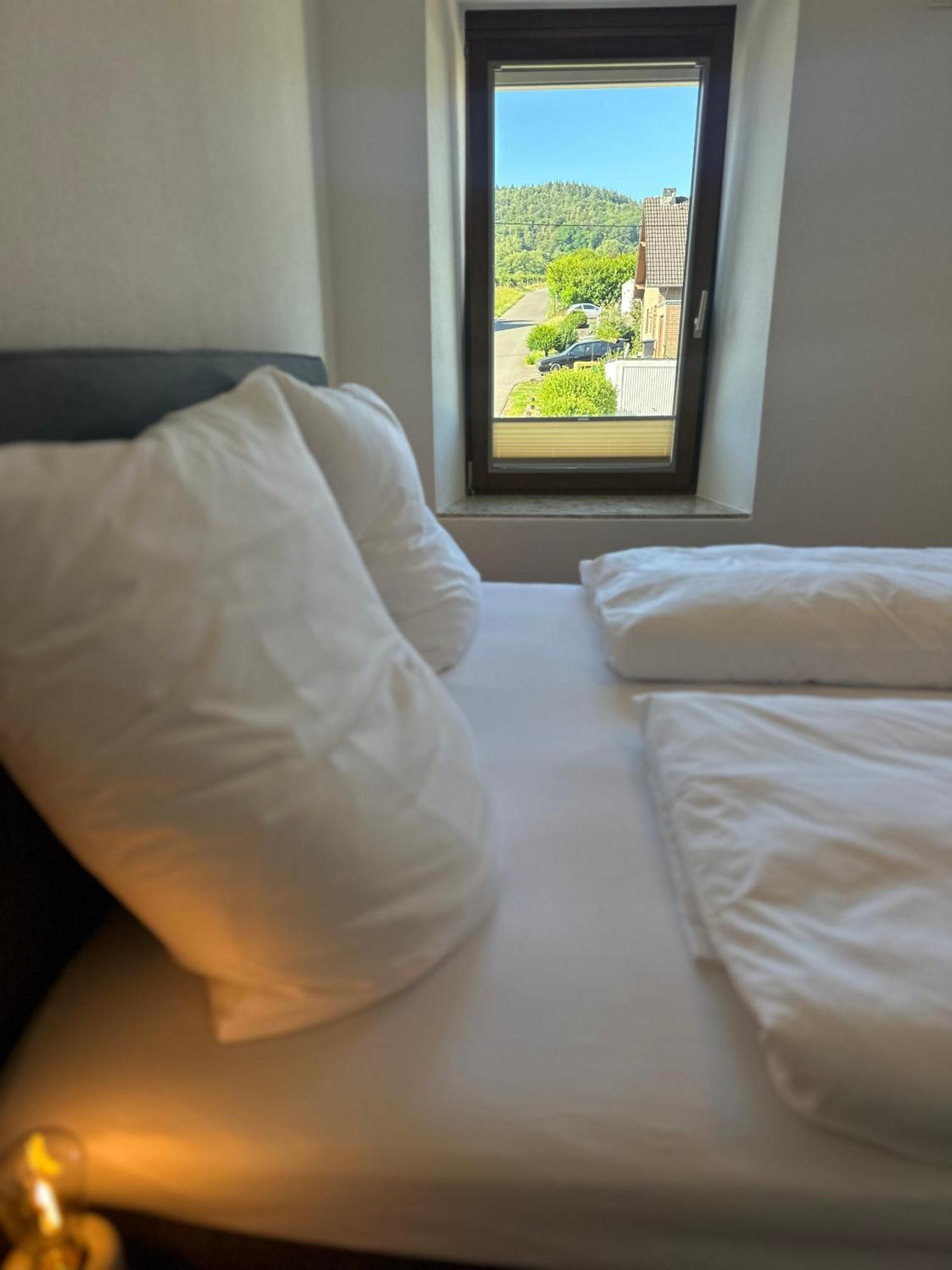 Moselappartements By Weingut Marco Adamy Lösnich Esterno foto