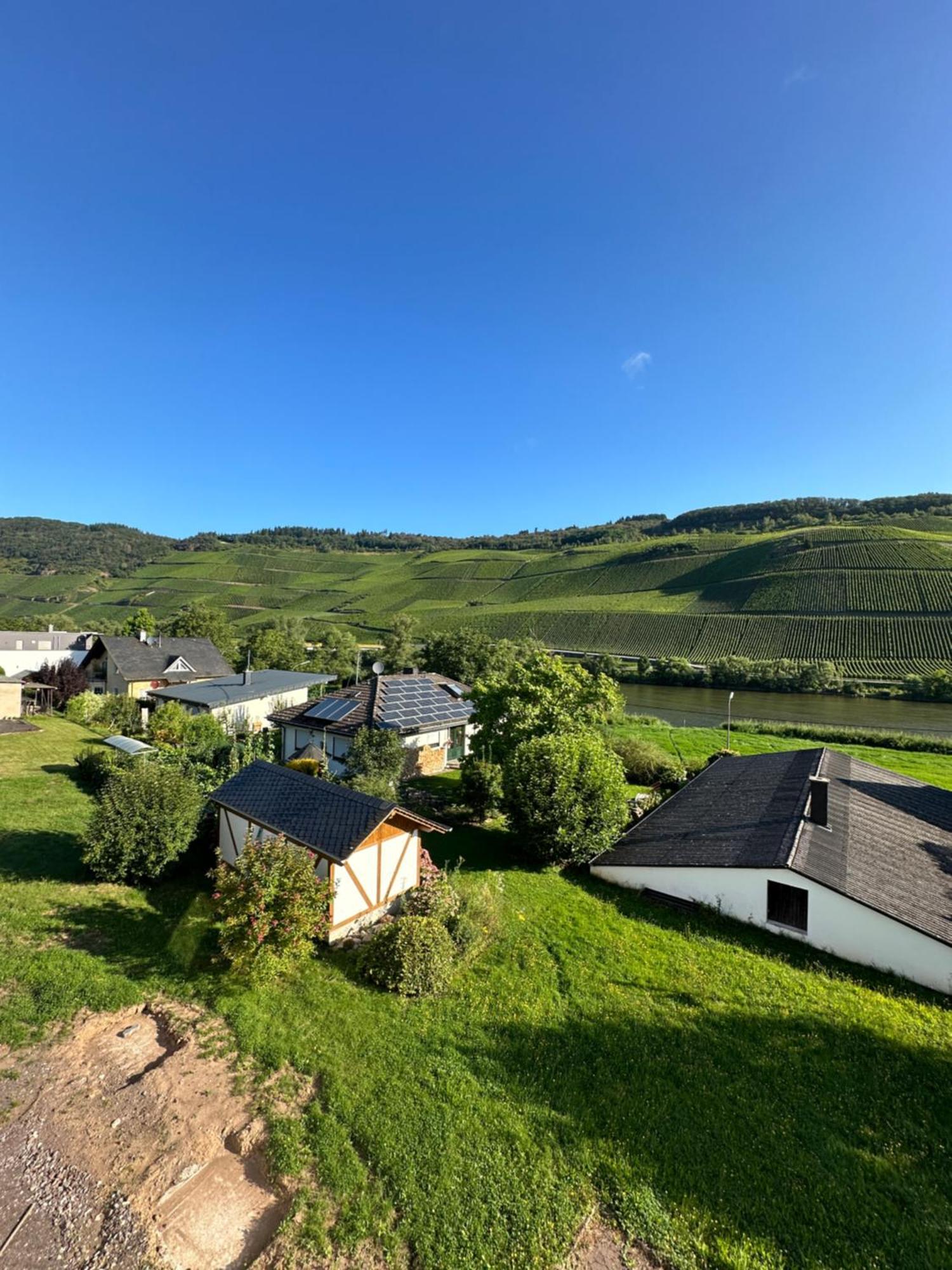 Moselappartements By Weingut Marco Adamy Lösnich Esterno foto