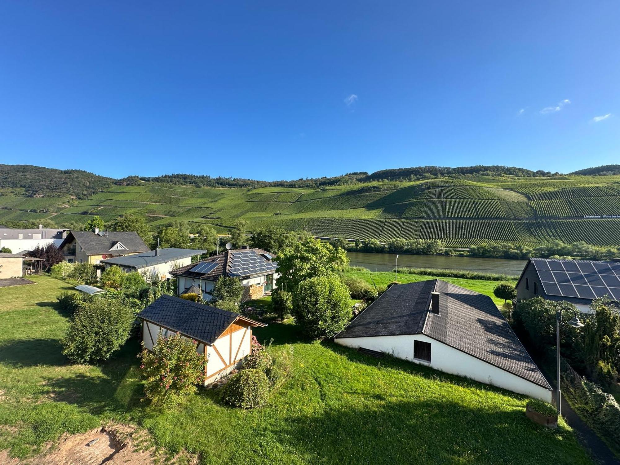 Moselappartements By Weingut Marco Adamy Lösnich Esterno foto