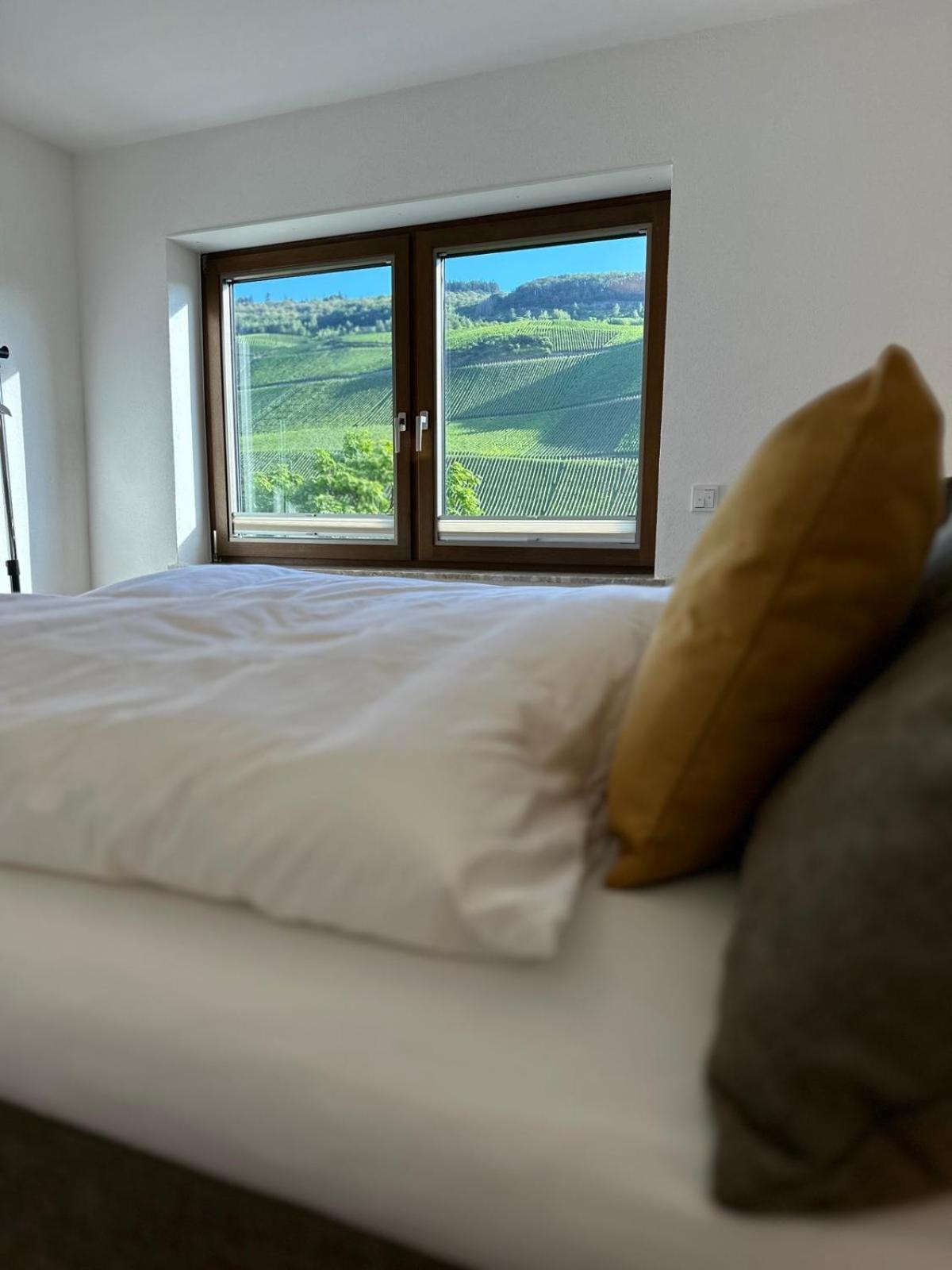 Moselappartements By Weingut Marco Adamy Lösnich Esterno foto