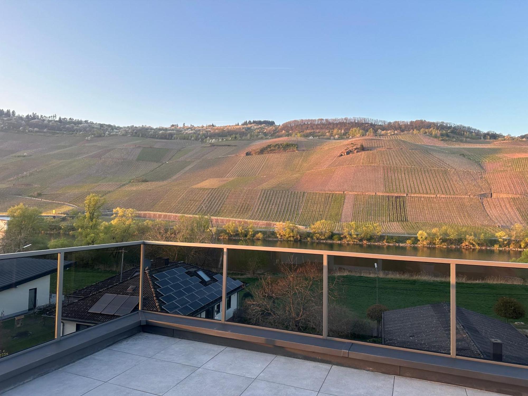 Moselappartements By Weingut Marco Adamy Lösnich Esterno foto