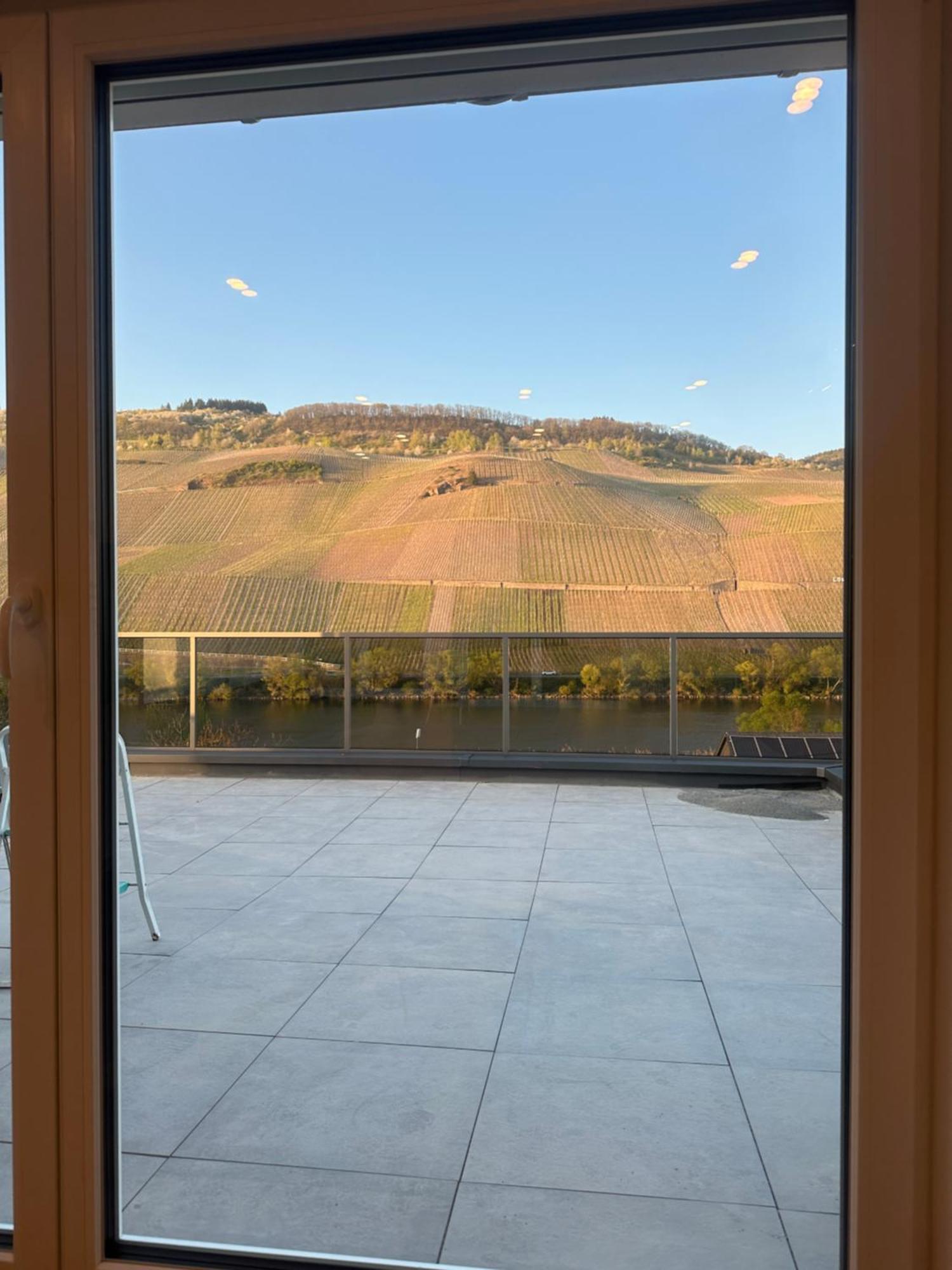 Moselappartements By Weingut Marco Adamy Lösnich Esterno foto